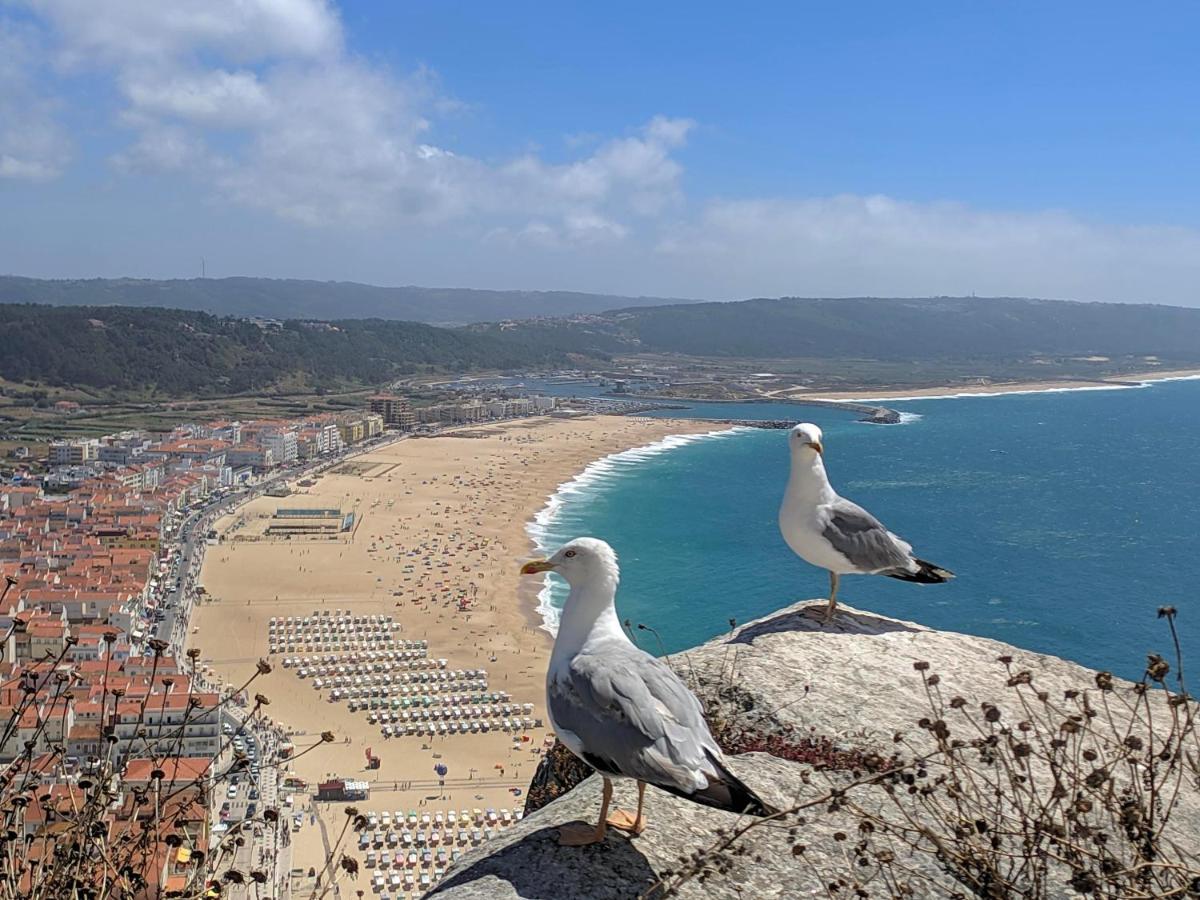 Blue Boat House - The Atlantic Breeze Apartment Nazare Bagian luar foto